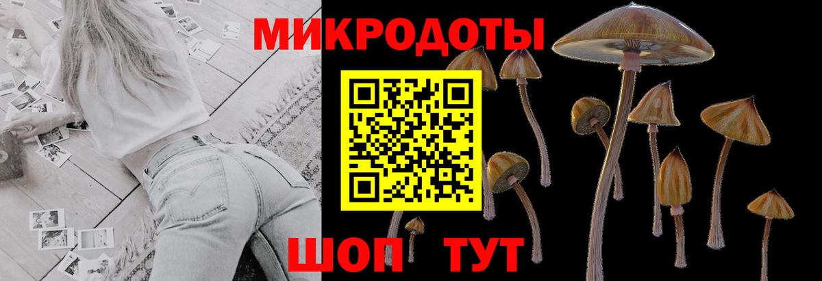 Галлюциногенные грибы MAGIC MUSHROOMS Кинель